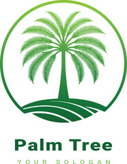 Fototapeta premium Vector beautiful palm tree design with white background 