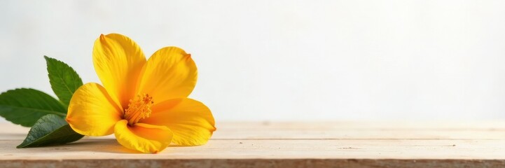 Orange blossom on a wooden table against white background, orchard, yellow