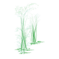 Fototapeta premium Art & Illustration vector of abstract plants and grass handmade with a brush in green color Green plants near the water depict a serene natural scene, suitable for environmental concept designs 