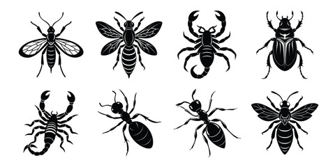 Set of insects silhouettes. Vector illustrations poisonous insects isolated on white background