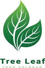 Vector beautiful tree leaf design with white background 