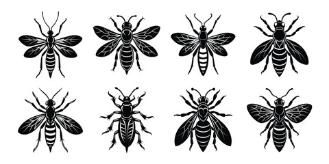 Fototapeta premium Set of insects silhouettes. Vector illustrations poisonous insects isolated on white background