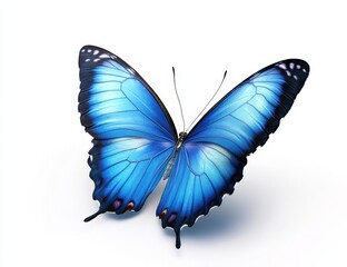 Obraz premium A beautiful blue butterfly is gracefully flying on a white background