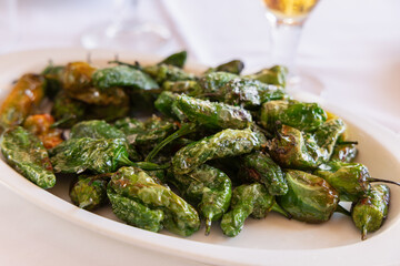 Traditional Spanish appetiser featuring fried Padron peppers (Pimiento de Padron) garnished with coarse salt, placed on a white plate in a rustic restaurant atmosphere