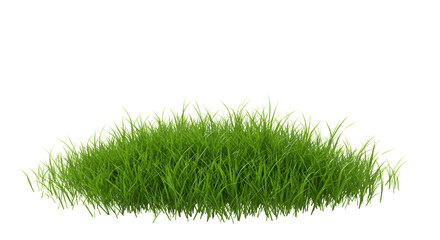 green grass isolated on white