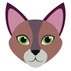 vector illustration of a cat