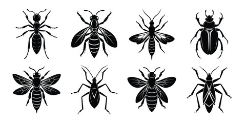 Insects silhouettes set. Vector illustrations poisonous insects isolated on white background © MdMohiuddin