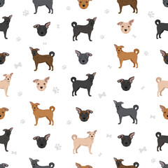 Frenchie Labrador clipart. French Bulldog - Labrador Retriever mix. All possible coat colors, breed information, adults and puppies.  Vector illustration