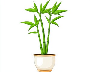 Lush Green Bamboo Plant in Simple Pot Design Ideal for Home Decor