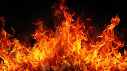 Fototapeta premium A blazing inferno of orange and red flames on a dark black background with intense heat radiating from the fire , black background, fiery