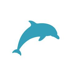 dolphin isolated on white background