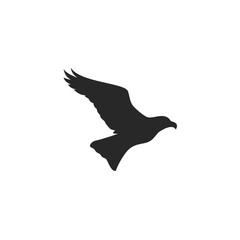 black eagle isolated on white