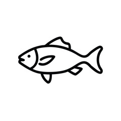 fish isolated on white background