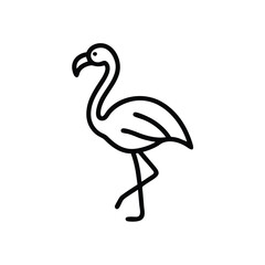 flamingo silhouette isolated on white