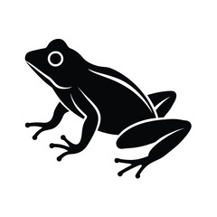 frog on a white background