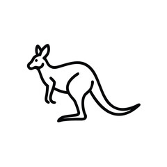 kangaroo illustration