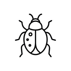 illustration of a ladybug