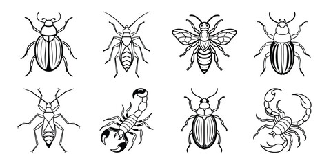 Insects liner art set. Vector illustrations poisonous insects isolated on white background