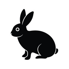 white rabbit isolated on white