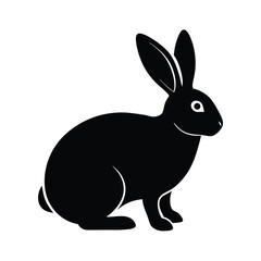 white rabbit isolated on white