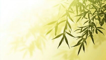 Obraz premium Serene Bamboo Leaves and Soft Sunlight Shadows