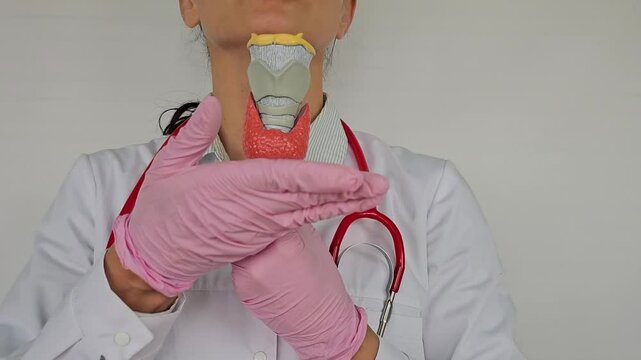 Female doctor holding anatomical model thyroid gland. Help and care