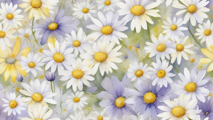 Watercolor meadow with white and purple daisies in full bloom

