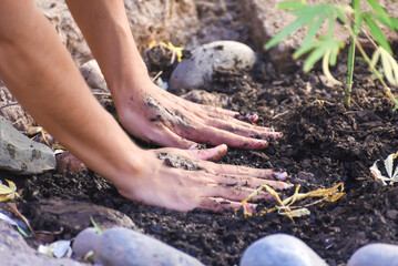 hands planting different seeds in the soil, vegetable garden, harvesting