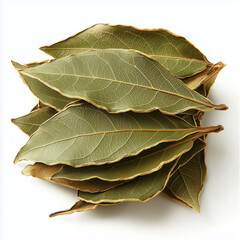 Pile of Dried Bay Leaves Isolated on White Background
