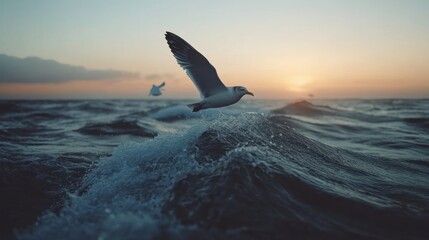 Fototapeta premium Seagull flying over ocean waves at sunset.