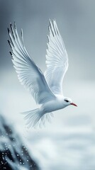 Fototapeta premium HD Phone Wallpaper Majestic White Seabird in Flight Over Ocean Waves Stunning Wings Nature Photography