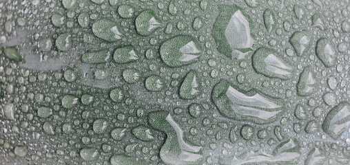 water drops on a green plant surface