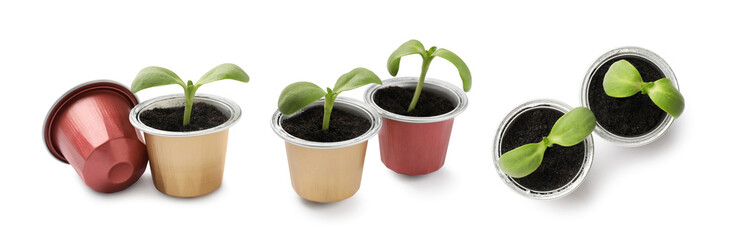 Coffee capsules with green sprouts isolated on white, collage