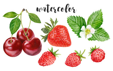 Hand-Painted Watercolor Wild Strawberry and Cherry Botanical Illustration Isolated on White