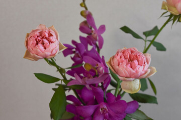 アランダとばら