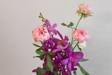 Obraz premium 薔薇とアランダ