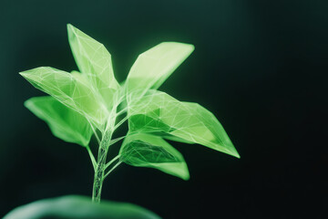Futuristic digital plant with glowing green leaves on a dark background