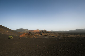 landscape in the desert