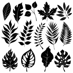 Tropical Leaves Set Vector Illustration
