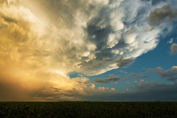 Fototapeta premium Mammatus clouds during sunset