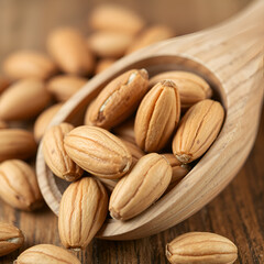 Obraz premium almonds on wooden table