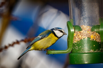 Fototapete bei efototapeten.de bestellen   