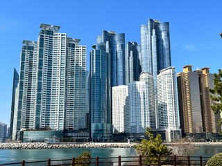 Obraz premium skyscrapers in dubai