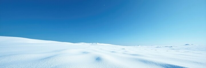 A blanket of snow covers the ground in a vast blue expanse, snowcovered ground, blue, stillness