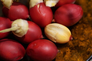 Adonidia merrillii, the Manila palm, is a palm tree species native to the Philippines (Palawan and Danjugan Island). Fortaleza Cear&aacute;, Brazil.