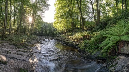 Obraz premium Sunlit stream flows through lush green forest; peaceful nature scene
