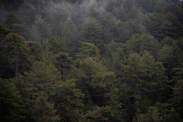 pictures of beautiful landscapes in Cyprus 