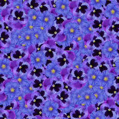 Vibrant seamless purple pansy flowers in full bloom