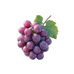 Fototapeta premium A bunch of red grapes with leaf isolated on a transparent background, in a PNG format
