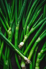 Fototapeta premium Close up of garlic bulb in the center surrounded by green scallions on a dark background.